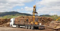 Kubik drveta u Srbiji dvostruko skuplji nego u Austriji