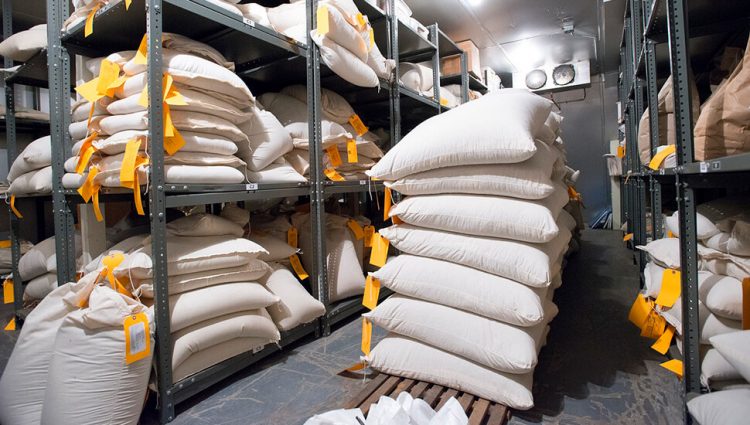 Fortis Technical Textiles gradiće u Svilajncu fabriku građevinskih materijala nove generacije