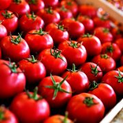 Turska ukinula zabranu izvoza paradajza