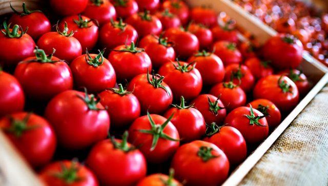 Kako da uspešno izvozite voće i povrće na Bliski istok