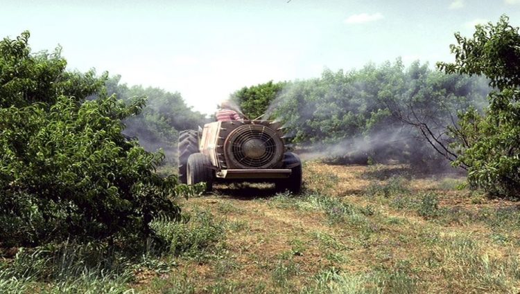 U Evropskoj uniji se godišnje proda oko 350.000 tona pesticida