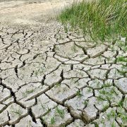 Klimatske promene najveći dugoročni globalni rizik
