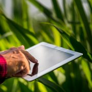 Poljoprivrednici brže do registracije i investicija putem sistema eAgrar