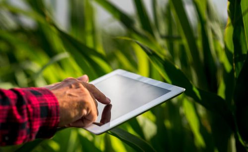 Ministarstvo poljoprivrede Srbije: Privremen zastoj u radu informacionih sistema