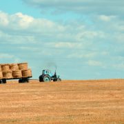 Prvi rezultati popisa poljoprivrede ukazuju na neophodnost agrarne reforme