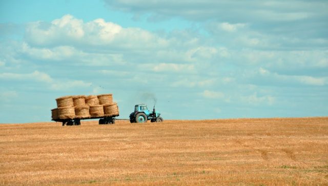 Blagi rast cena primarnih poljoprivrednih proizvoda