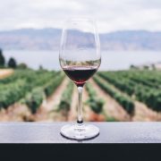 Kompanija Treasury Wine Estates najavila akviziciju Frank Family Vineyards