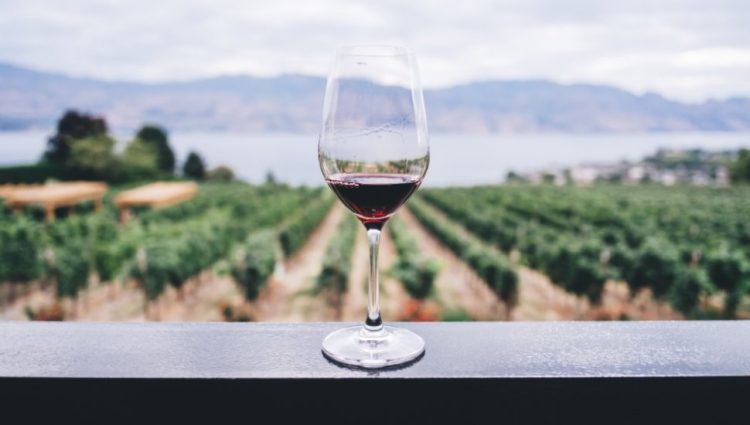 Kompanija Treasury Wine Estates najavila akviziciju Frank Family Vineyards