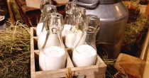 Proizvođači mleka u Srbiji osnivaju prvo nacionalno udruženje