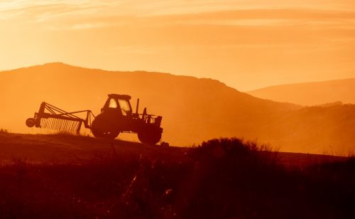 Za subvencije poljoprivredi naredne godine 116 milijardi dinara