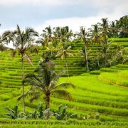 Indonežanska online firma Traveloka planira izlazak na američku berzu