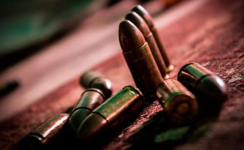 Namenska iz Lučana ostaje u većinskom vlasništvu države