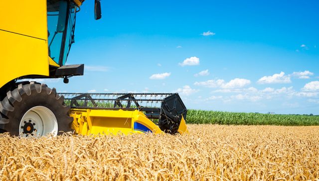 Poljoprivrednici traže da država otkupi 200.000 tona pšenice za robne rezerve