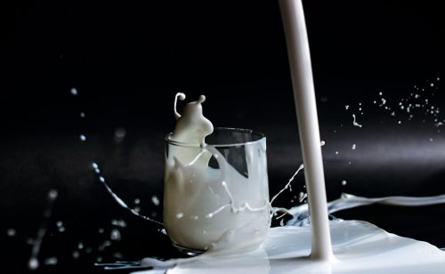 Odlaže se primena niže granice za aflatoksin u mleku