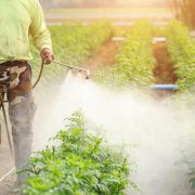 Poljoprivredni proizvodi u EU skuplji za četvrtinu