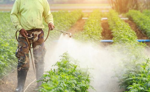 Prodaja pesticida u EU opala za deset odsto u 2022.