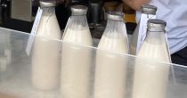 Prva biljna mlekara u Srbiji širi svoje poslovanje