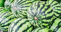 fresh-watermelons lubenice voće povrće