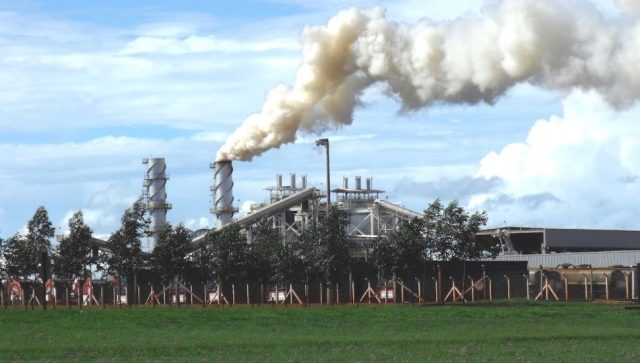 Proizvodnja biodizela mogla bi da se poveća za 40 odsto u Brazilu bez dodatnih krčenja šuma