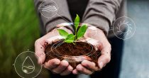 smart-agriculture-iot-with-hand-planting-tree-background poljoprivreda biogorivo smart agrar agrobiznis biljka ruka rasad