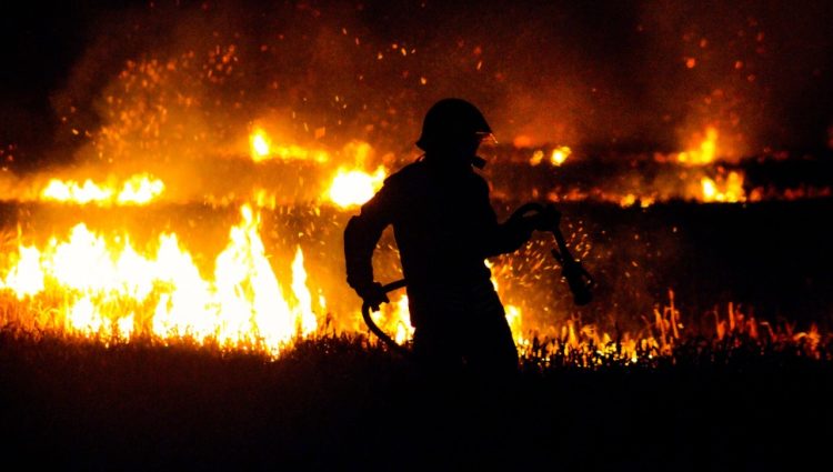 Da li je komunalna kompanija kriva za požare na Havajima?