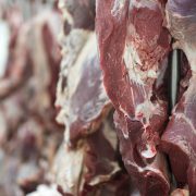 Republikanci nastoje da zabrane upotrebu laboratorijski uzgojenog mesa
