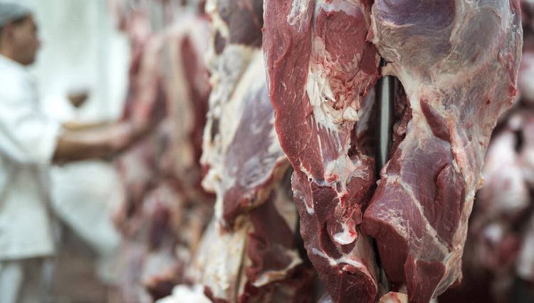 Republikanci nastoje da zabrane upotrebu laboratorijski uzgojenog mesa