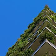 Za Zeleni budžet Srbije opredeljeno 118,5 milijardi dinara u 2025.