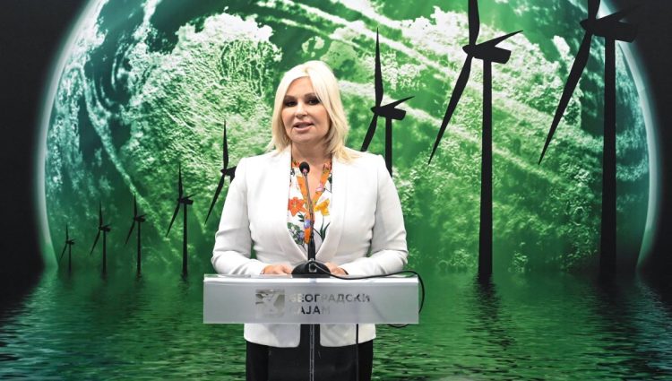 Mihajlović: Budućnost energetskog sektora nije moguća bez zaštite životne sredine