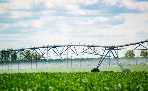 RZS: U Srbiji je u 2025. navodnjavano više od 47.500 hektara