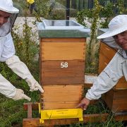Pčelarov digitalni asistent olakšava upravljanje košnicama