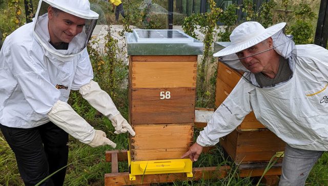 Pčelarov digitalni asistent olakšava upravljanje košnicama