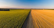 Plan za navodnjavanje 100.000 hektara u Vojvodini
