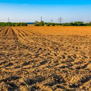 Za kontrolu plodnosti obradivog poljoprivrednog zemljišta u Vojvodini 10 miliona dinara