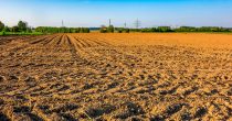 poljoprivredno zemljište njiva poljoprivreda agrar biljke bilje oranice