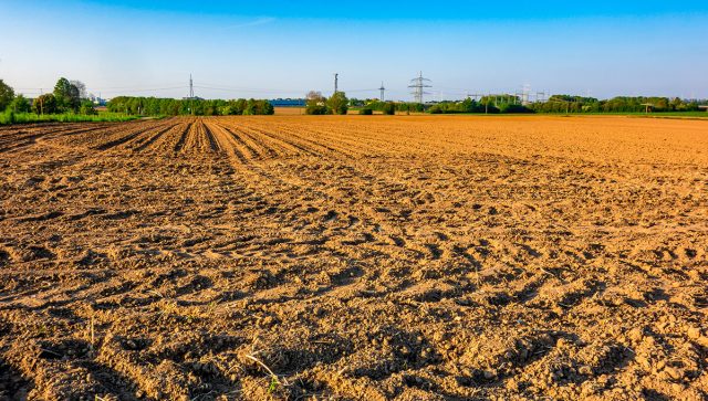 Cena zakupa poljoprivrednog zemljišta u Srbiji godinama ista, od 200 do 250 evra po hektaru