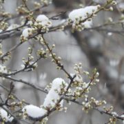 Zimska sezona u Crnoj Gori nije na očekivanom nivou