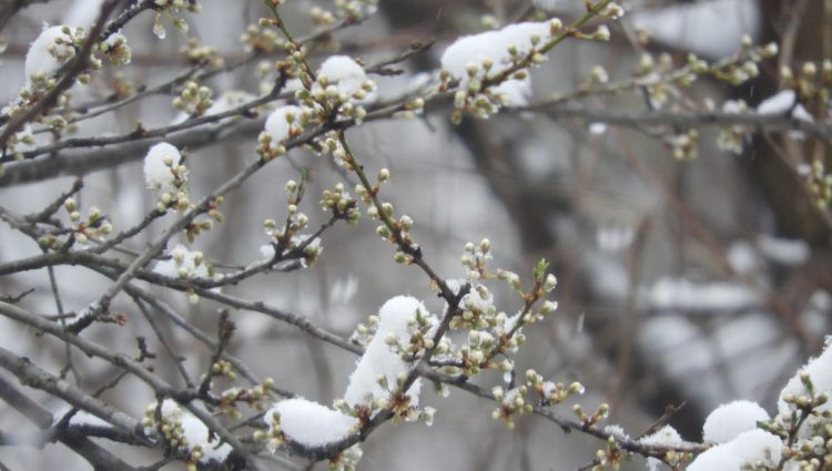 Zimska sezona u Crnoj Gori nije na očekivanom nivou
