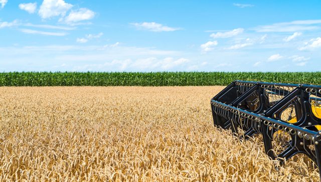MK Group ulaže 350 miliona evra u poljoprivredu u naredne tri godine
