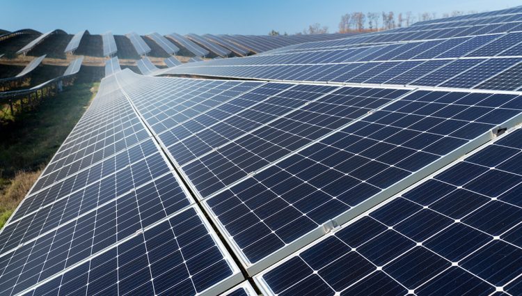 Domaći investitor gradiće četiri solarne elektrane kod Subotice ukupne snage veće od 11 MW