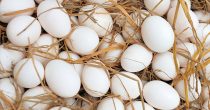white-eggs-hay-nest-market