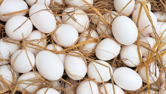 Zašto „poludimo“ za belim jajima pred Uskrs, a onda ih zaboravimo?