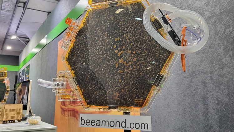 Inovativne košnice mogu da daju pčelinje proizvode i u stanu