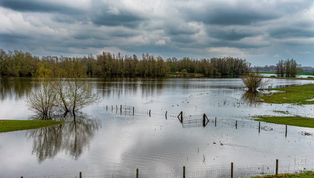 FAO pomaže Srbiji u sanaciji šteta od poplava