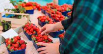 person-buying-strawberries-supermarket
