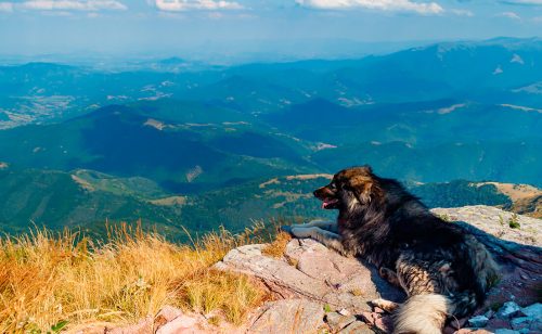 PKS: Srbija na Međunarodnom sajmu turizma u Beču