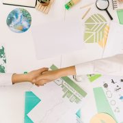 Srbija i UAE jačaju saradnju u oblasti zaštite životne sredine