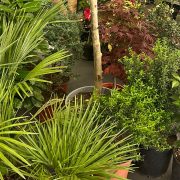 Međunarodni sajmovi građevinarstva i hortikulture