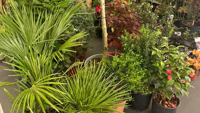 Međunarodni sajmovi građevinarstva i hortikulture