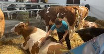 Predloženo administrativno rasterećenje poljoprivrednika u EU Međunarodni poljoprivredni  sajam u Novom Sadu